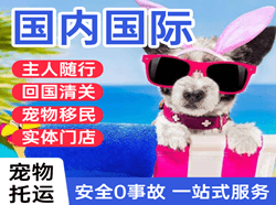 五台山机场快运国际宠物托运 【国